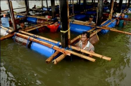 Sejumlah warga memindahkan rumah di tengah laut di kampung nelayan, Galangan Kapal, Makassar, Kamis (12/1). (iqbal Lubis)